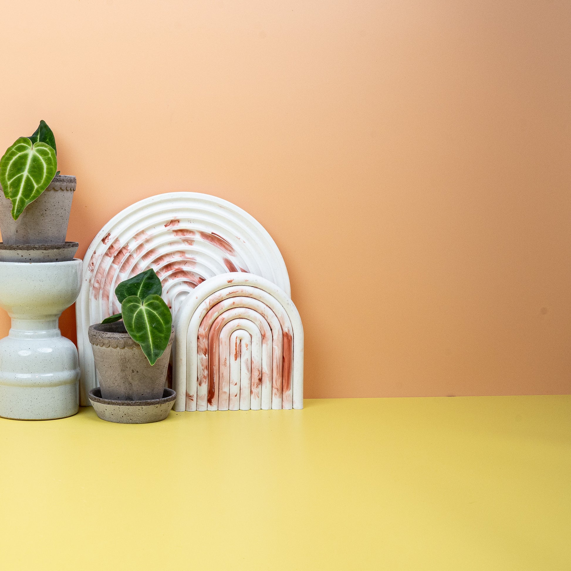 ANTHURIUM REGALE online bestellen bei potflourri