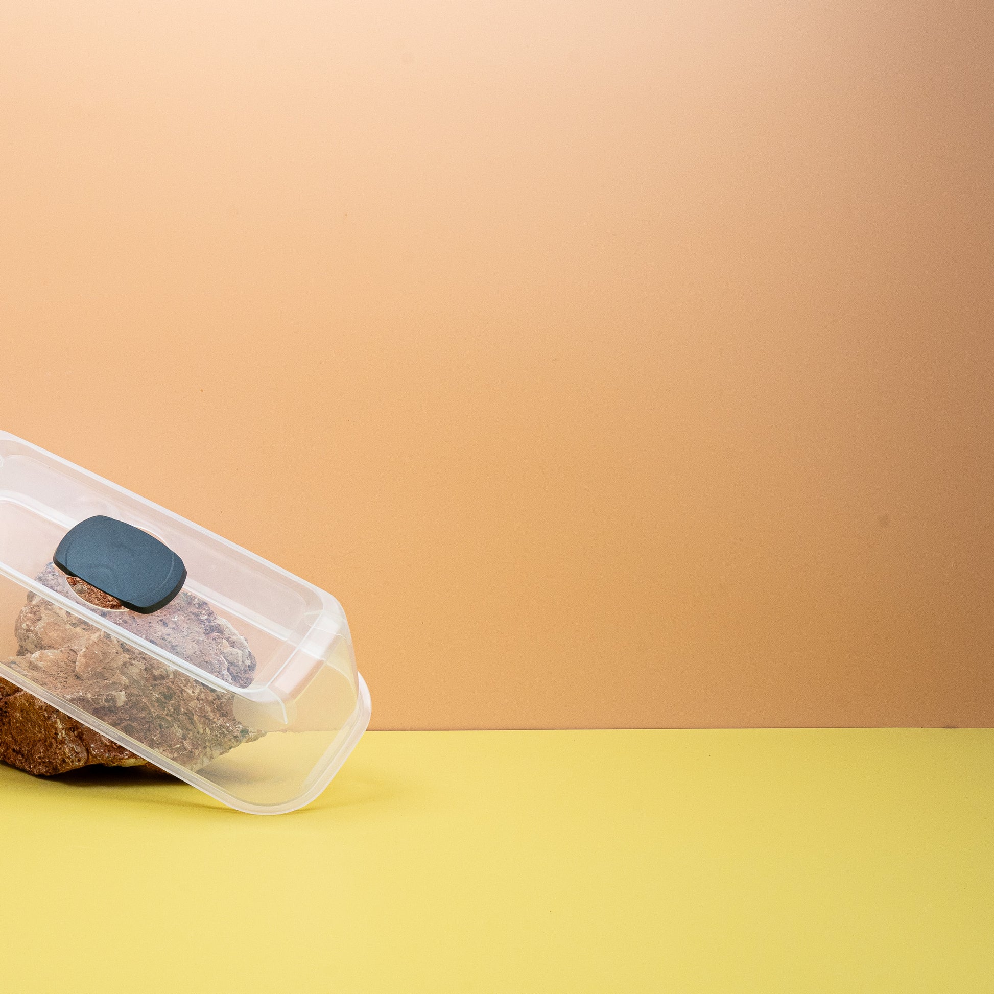 ANZUCHTHAUBE - ROMBERG BOQUBE ANTHRAZIT online bestellen bei potflourri