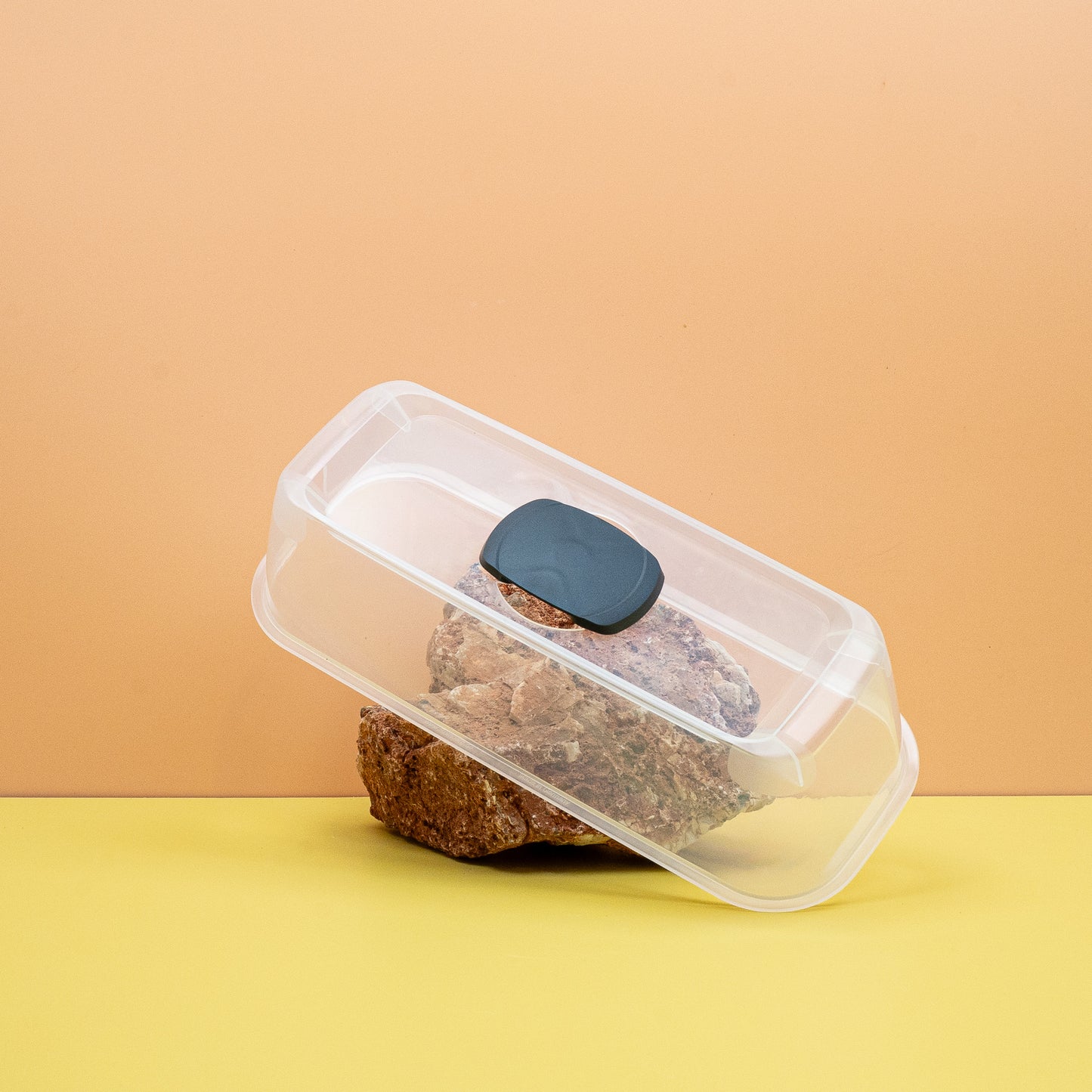 ANZUCHTHAUBE - ROMBERG BOQUBE ANTHRAZIT online bestellen bei potflourri