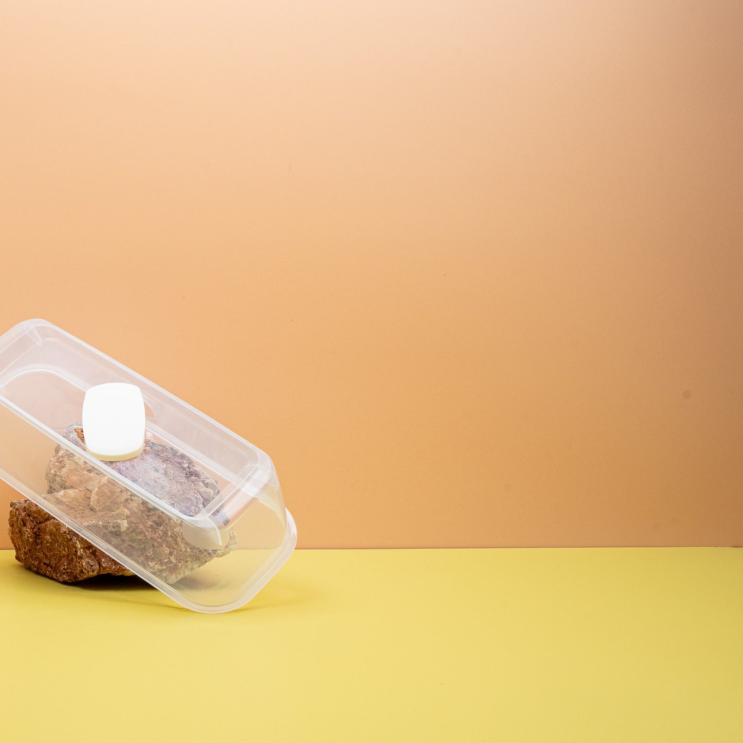 ANZUCHTHAUBE - ROMBERG BOQUBE CREME online bestellen bei potflourri