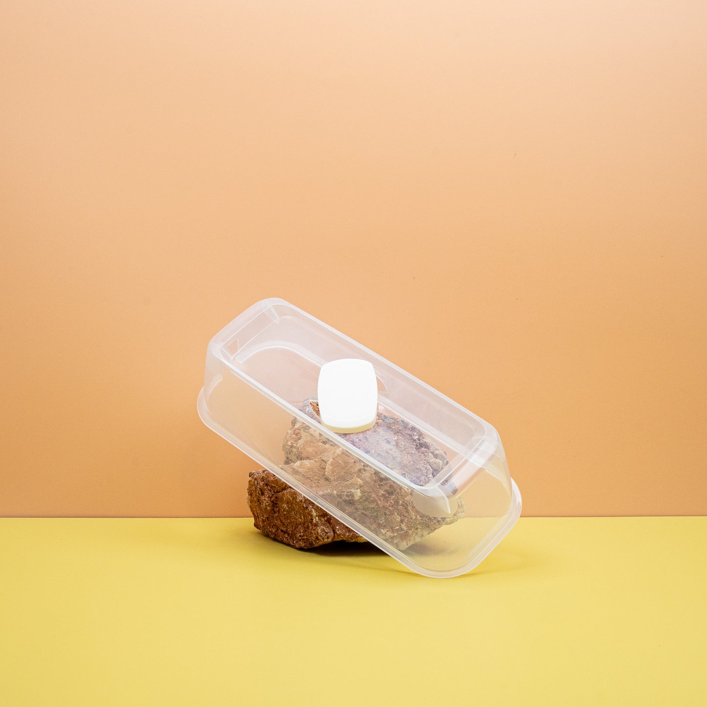 ANZUCHTHAUBE - ROMBERG BOQUBE CREME online bestellen bei potflourri