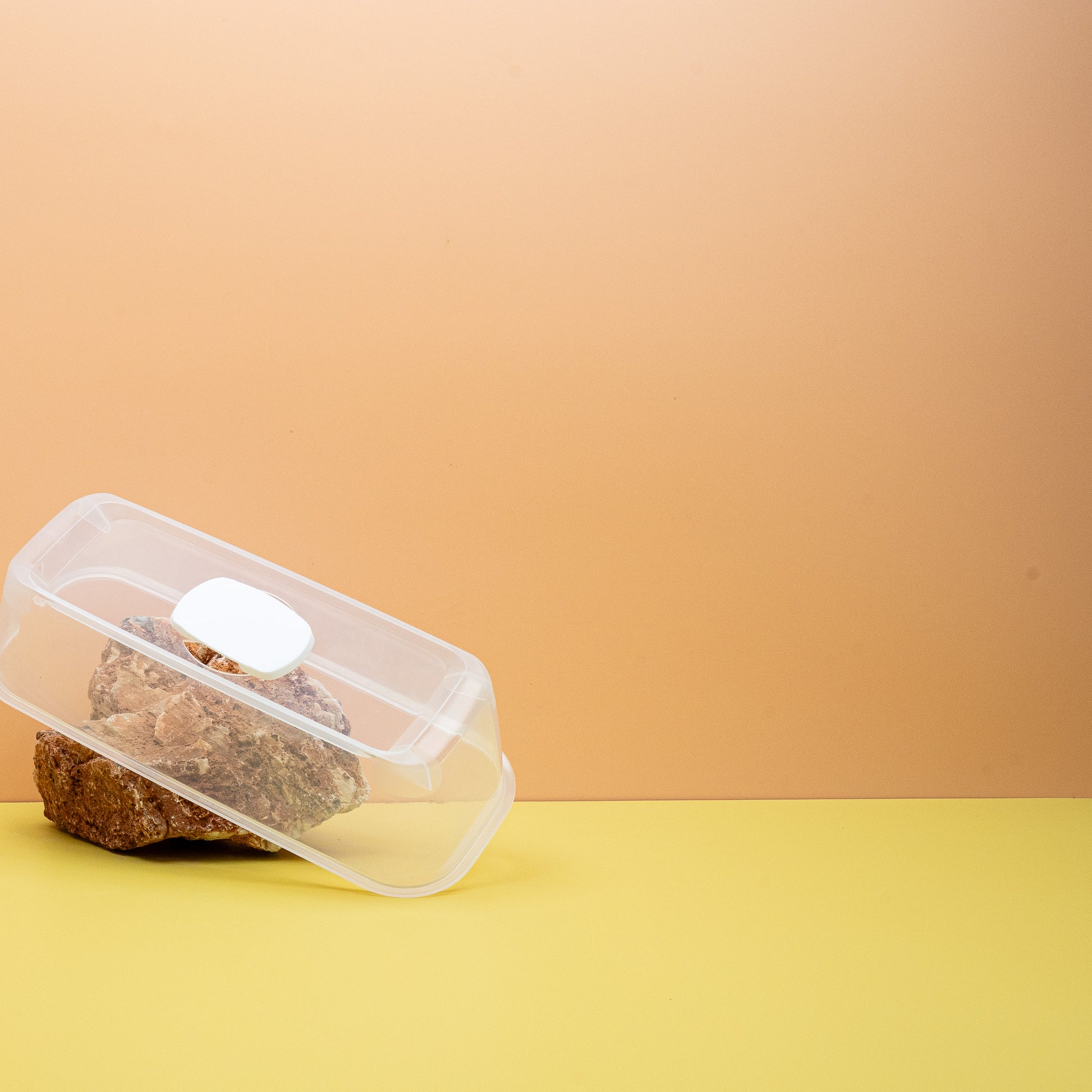 ANZUCHTHAUBE - ROMBERG BOQUBE WEISS online bestellen bei potflourri