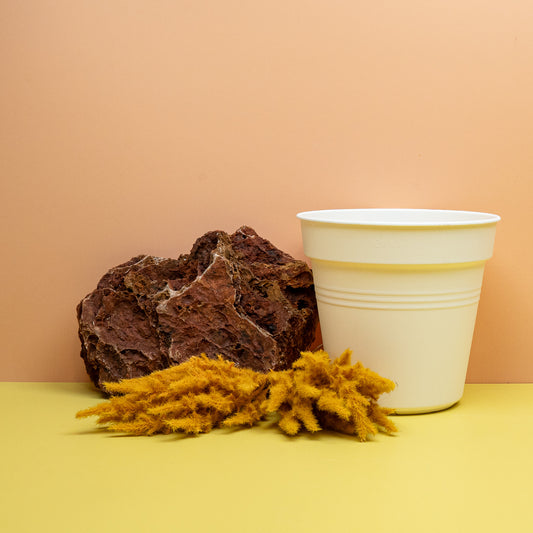 ANZUCHTTOPF - ELHO GREEN BASIC BAUMWOLLWEISS online bestellen bei potflourri