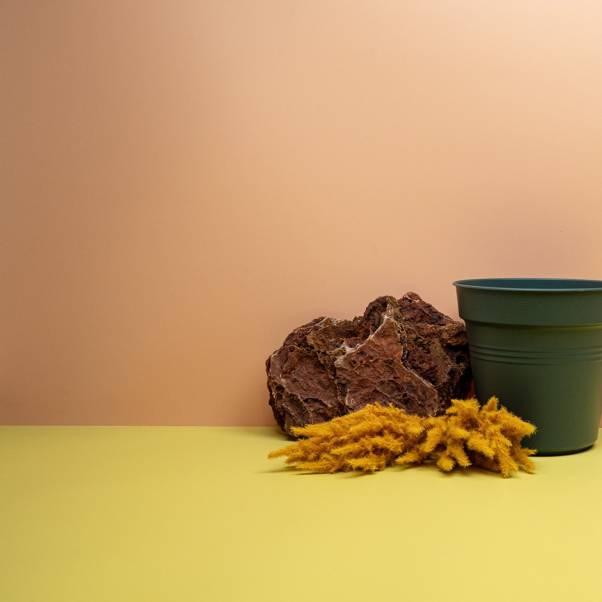 ANZUCHTTOPF - ELHO GREEN BASIC LAUBGRÜN online bestellen bei potflourri