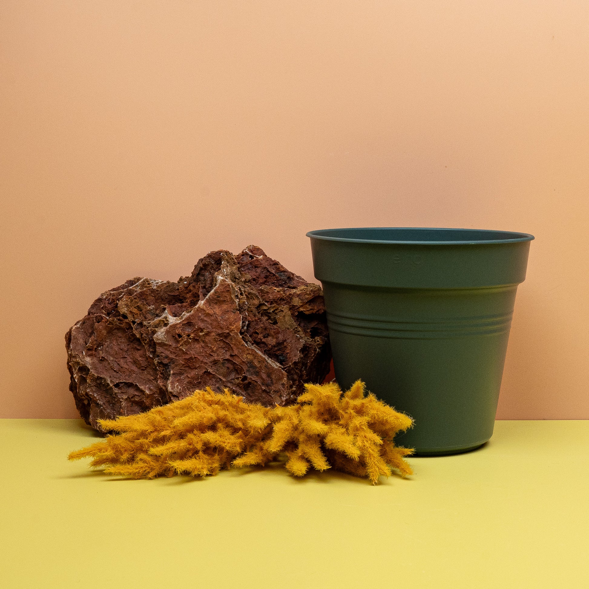 ANZUCHTTOPF - ELHO GREEN BASIC LAUBGRÜN online bestellen bei potflourri