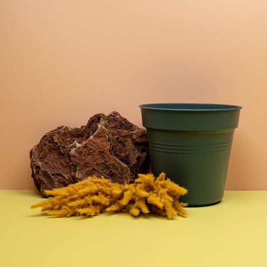 ANZUCHTTOPF - ELHO GREEN BASIC LAUBGRÜN online bestellen bei potflourri