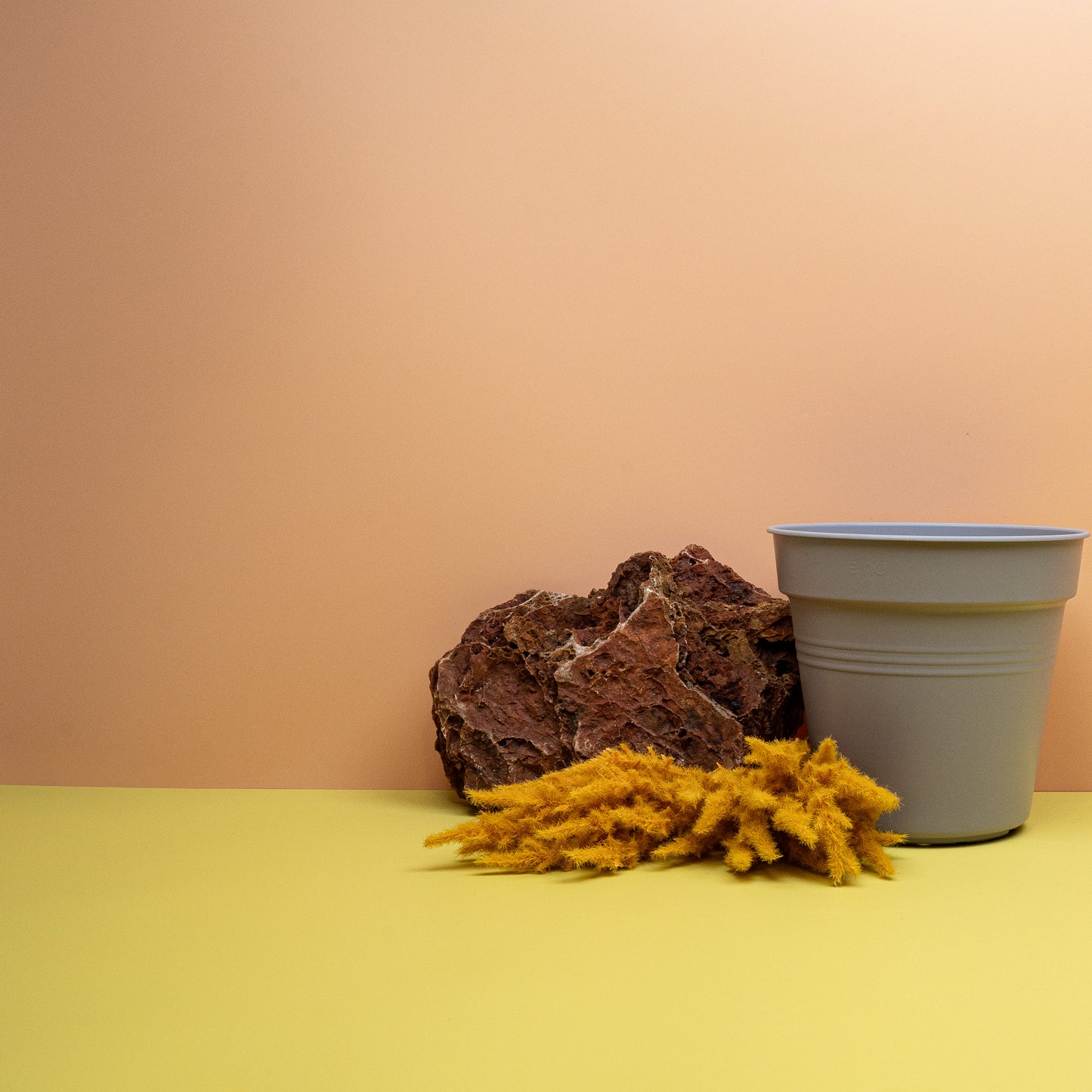 ANZUCHTTOPF - ELHO GREEN BASIC SANFTESLILA online bestellen bei potflourri