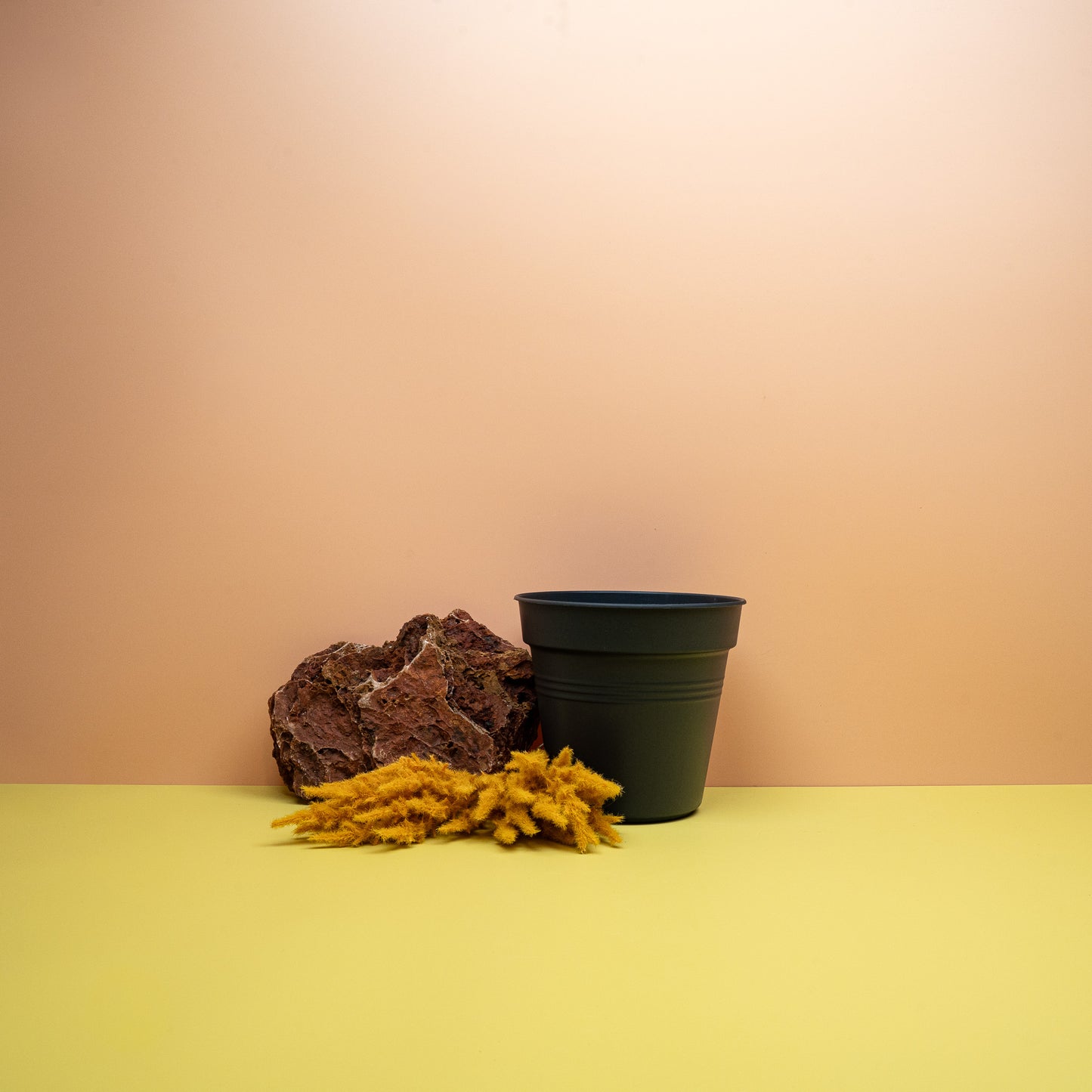 ANZUCHTTOPF - ELHO GREEN BASIC SCHWARZ online bestellen bei potflourri