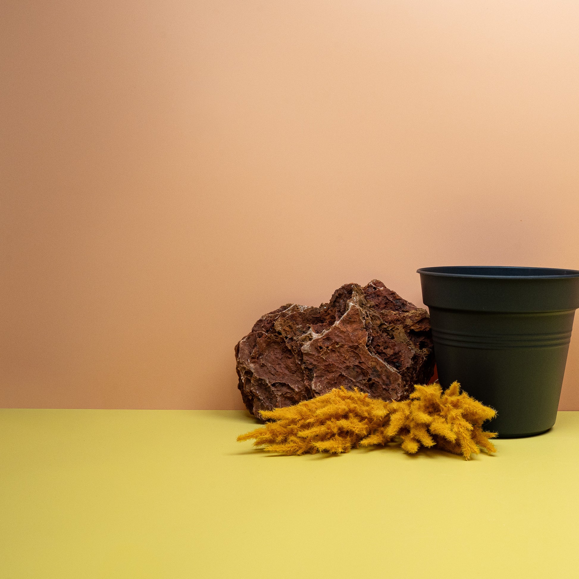 ANZUCHTTOPF - ELHO GREEN BASIC SCHWARZ online bestellen bei potflourri