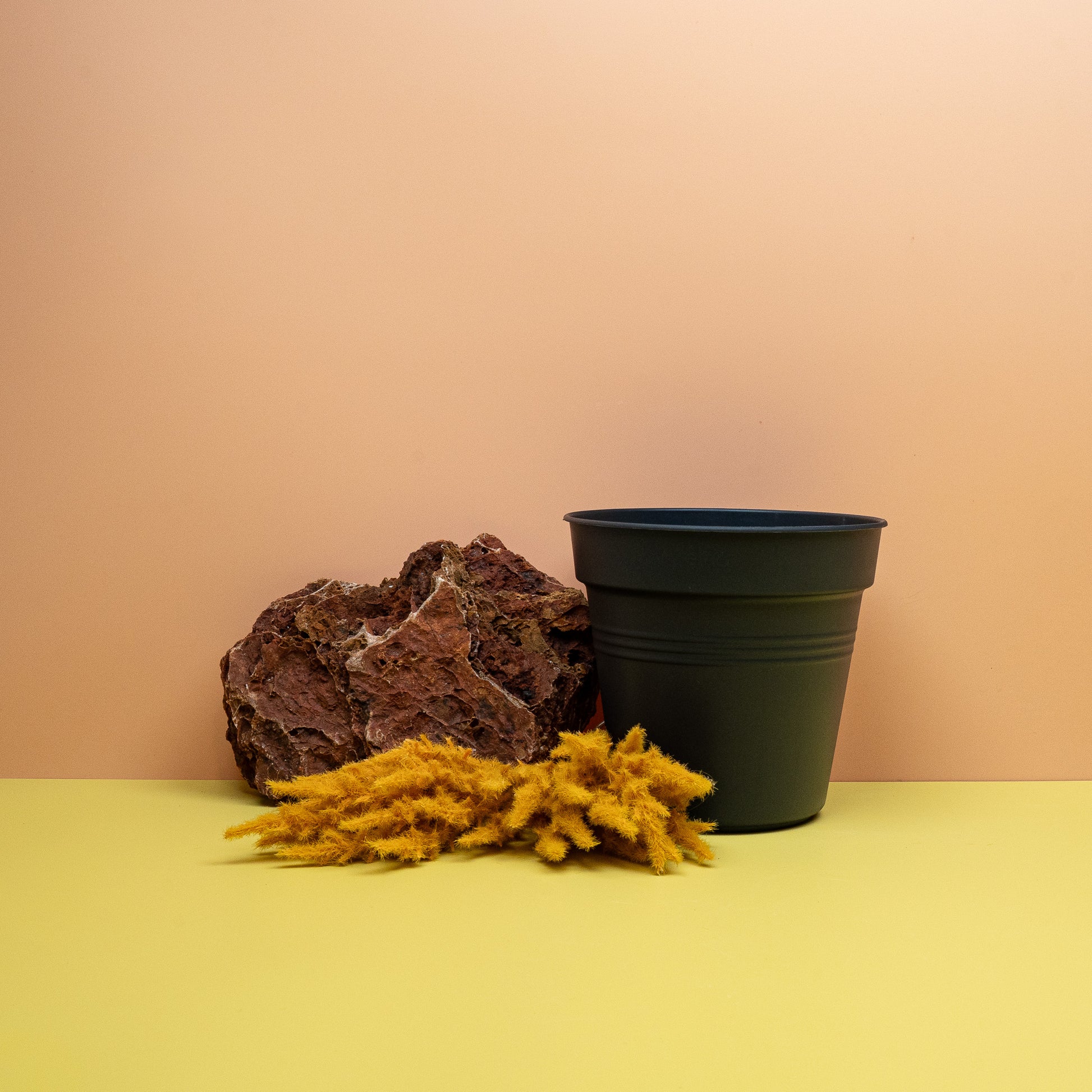 ANZUCHTTOPF - ELHO GREEN BASIC SCHWARZ online bestellen bei potflourri