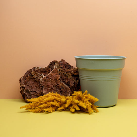 ANZUCHTTOPF - ELHO GREEN BASIC STEINGRÜN online bestellen bei potflourri