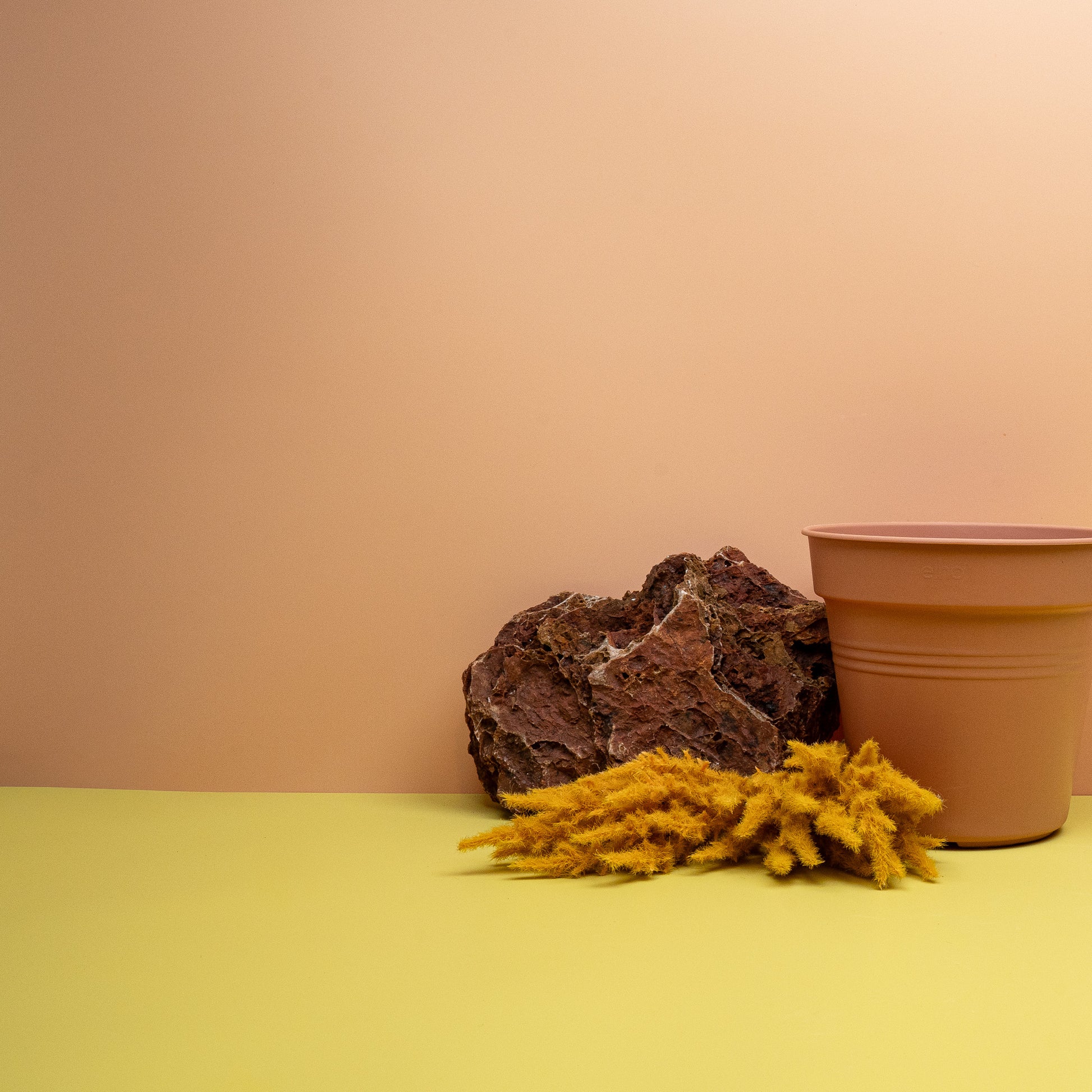 ANZUCHTTOPF - ELHO GREEN BASIC TERRAKOTTA online bestellen bei potflourri