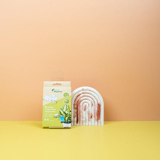 BLAUKARTEN - ANDERMATT online bestellen bei potflourri