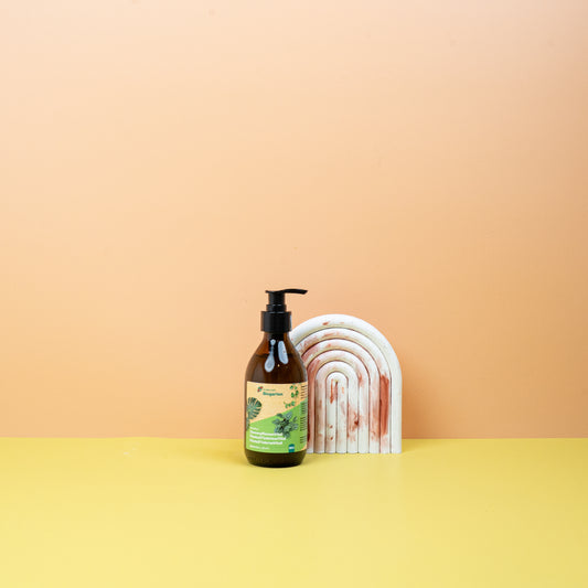 DÜNGER - ANDERMATT ZIMMERPFLANZENVITAL online bestellen bei potflourri