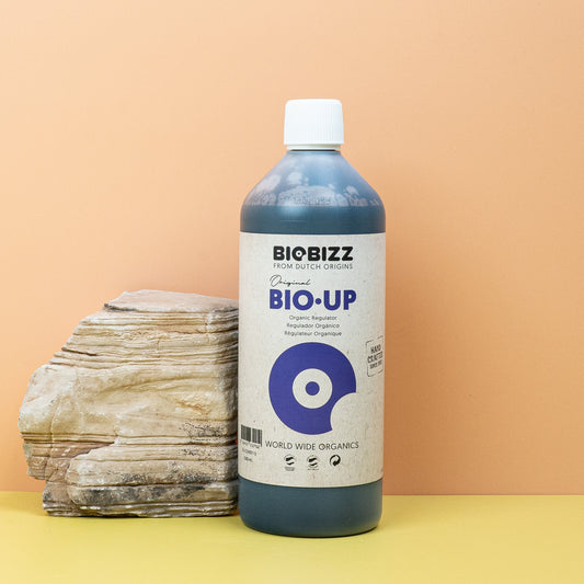 PH-REGULATOR - BIOBIZZ PH-HEBER online bestellen bei potflourri