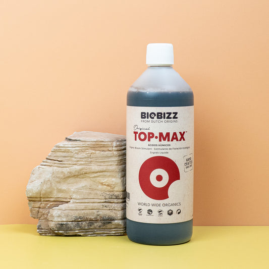 DÜNGER - BIOBIZZ TOP-MAX online bestellen bei potflourri