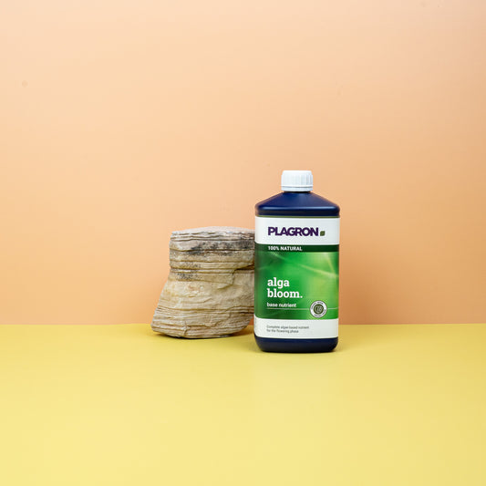 DÜNGER - PLAGRON ALGA BLOOM online bestellen bei potflourri
