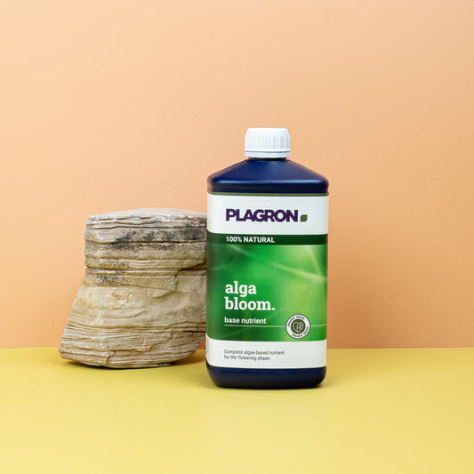 DÜNGER - PLAGRON ALGA BLOOM online bestellen bei potflourri