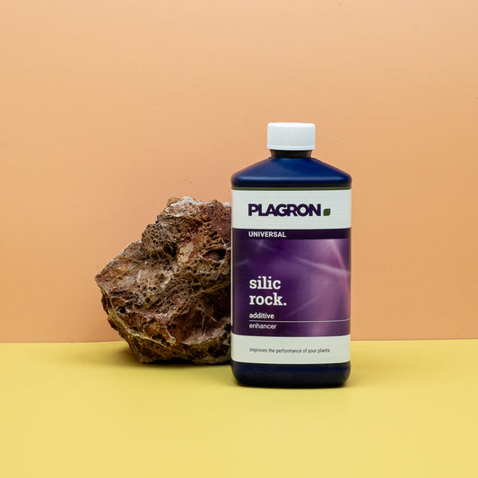 DÜNGER - PLAGRON SILIC ROCK online bestellen bei potflourri