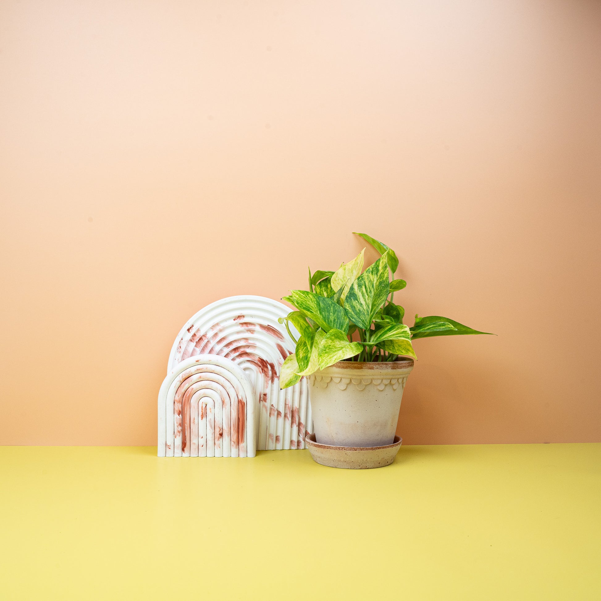 EPIPREMNUM NJOY GOLD online bestellen bei potflourri
