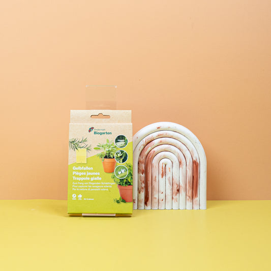 GELBKARTEN - ANDERMATT online bestellen bei potflourri