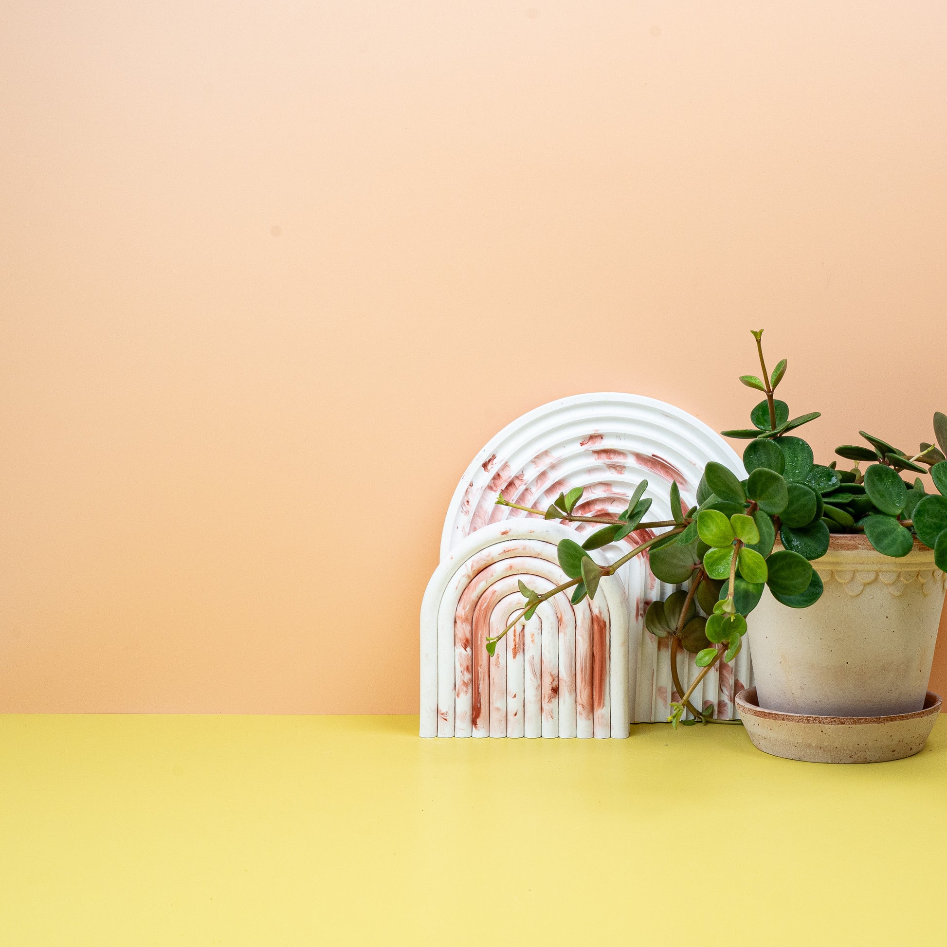 PEPEROMIA HOPE online bestellen bei potflourri