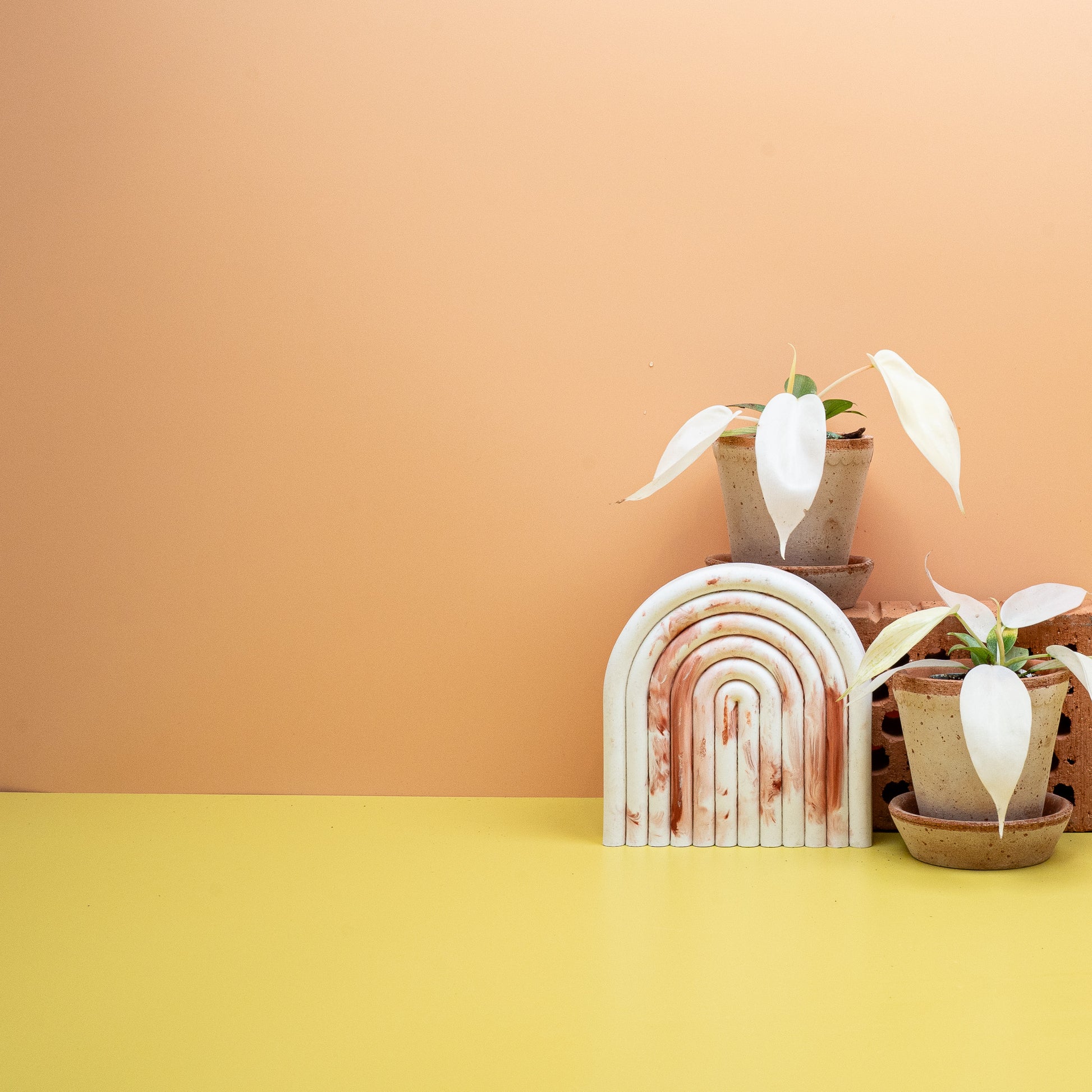 PHILODENDRON FLORIDA GHOST online bestellen bei potflourri