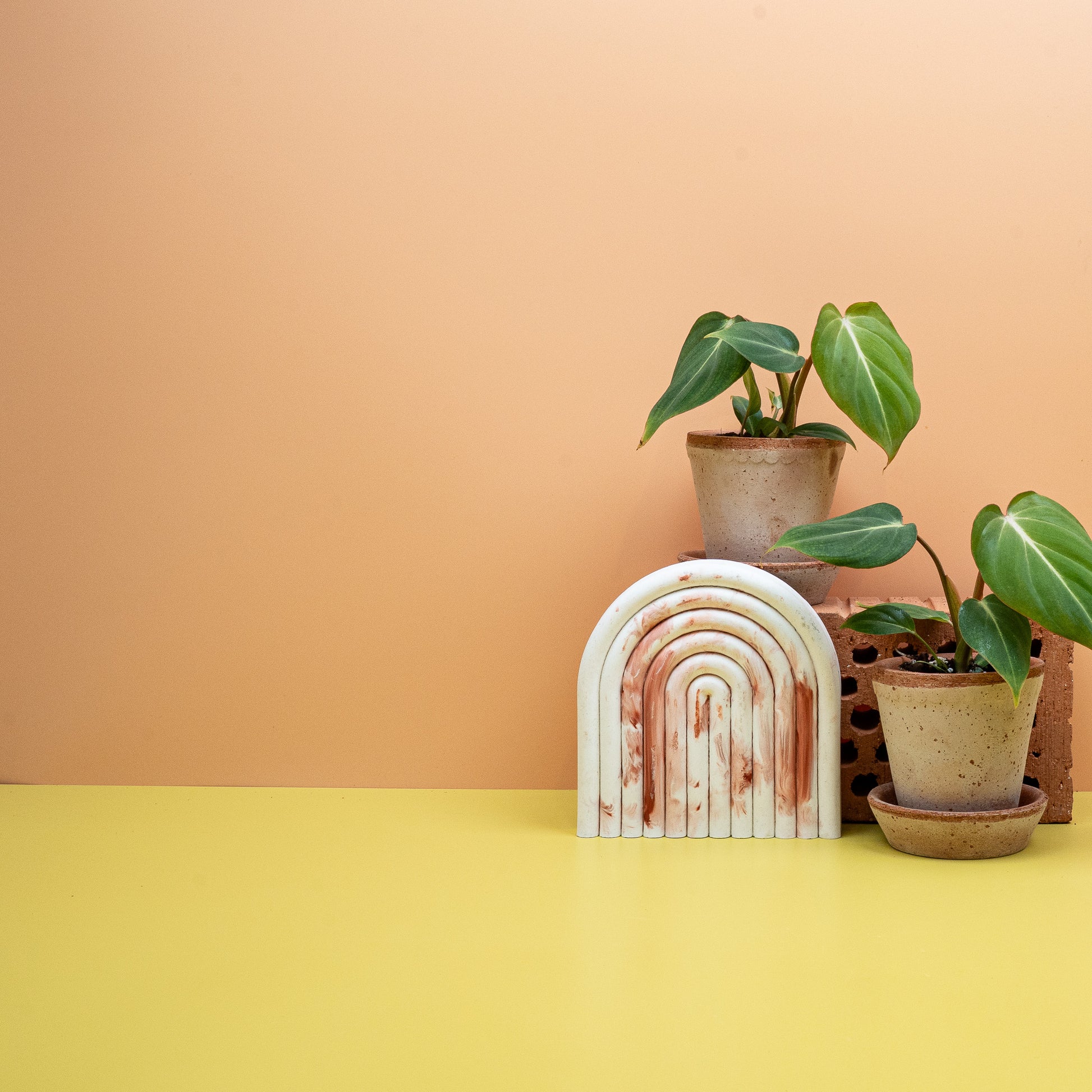 PHILODENDRON GLORIOSUM online bestellen bei potflourri