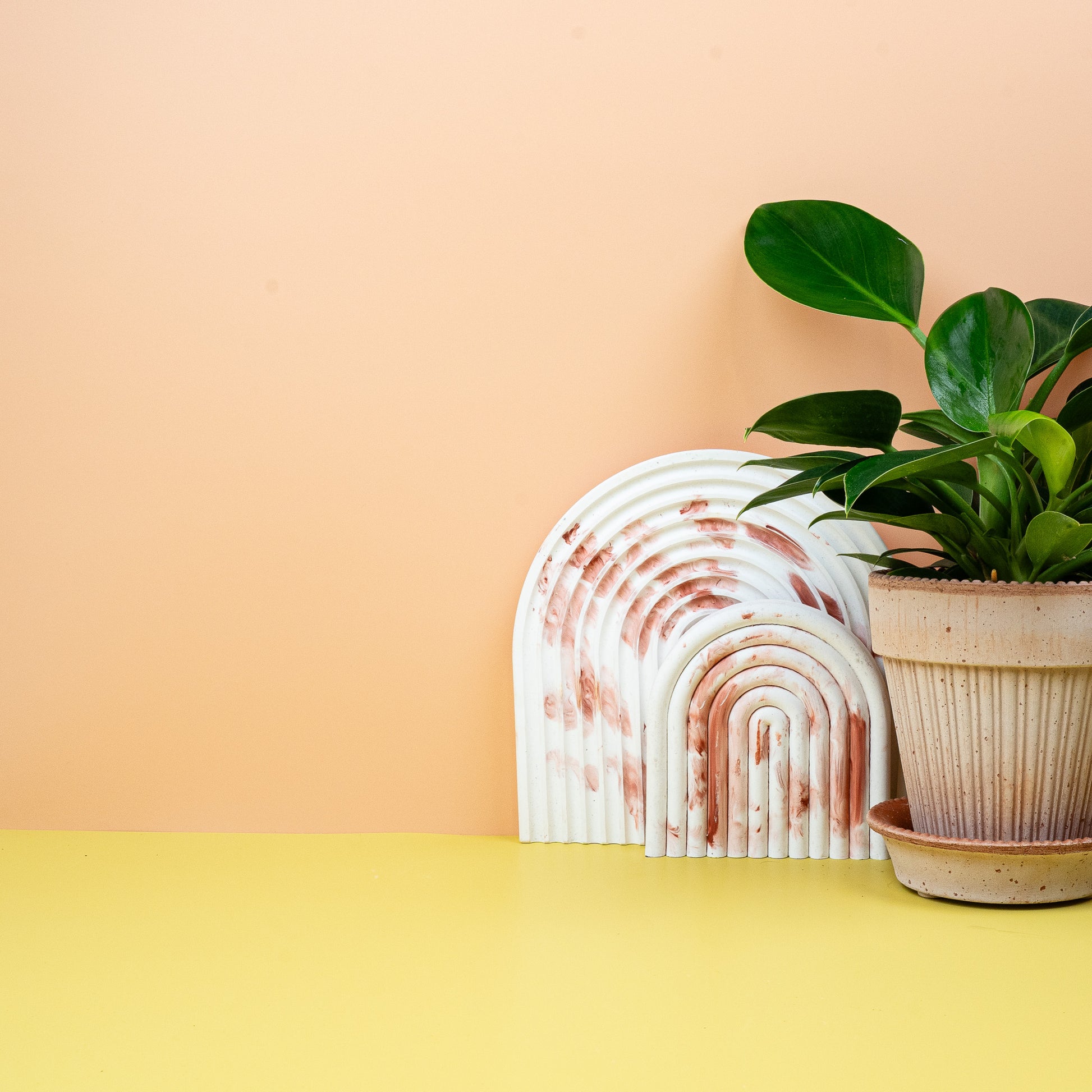 PHILODENDRON GREEN PRINCESS online bestellen bei potflourri