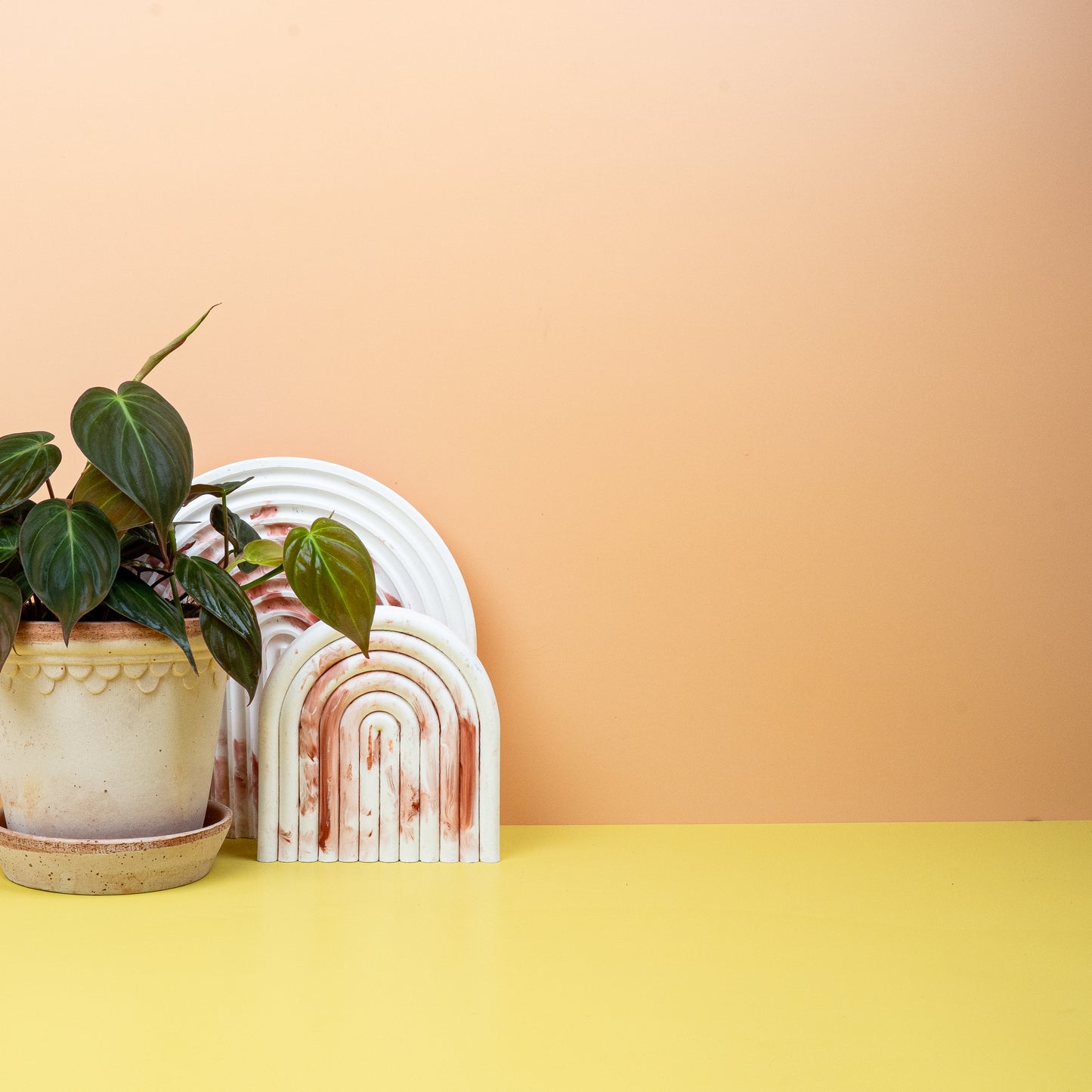 PHILODENDRON MICANS online bestellen bei potflourri