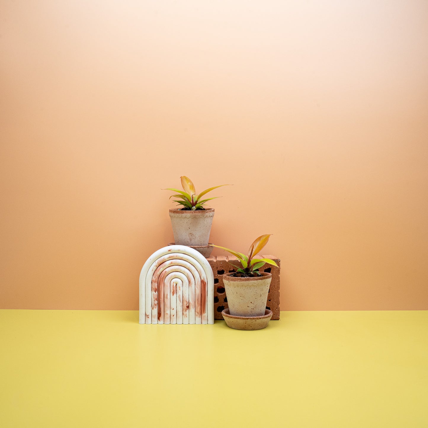 PHILODENDRON PRINCE OF ORANGE