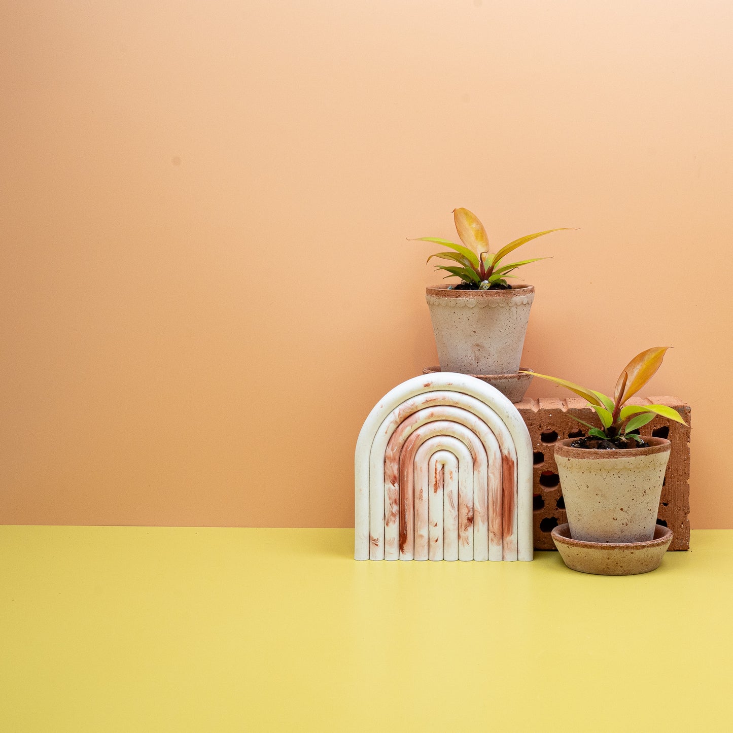 PHILODENDRON PRINCE OF ORANGE