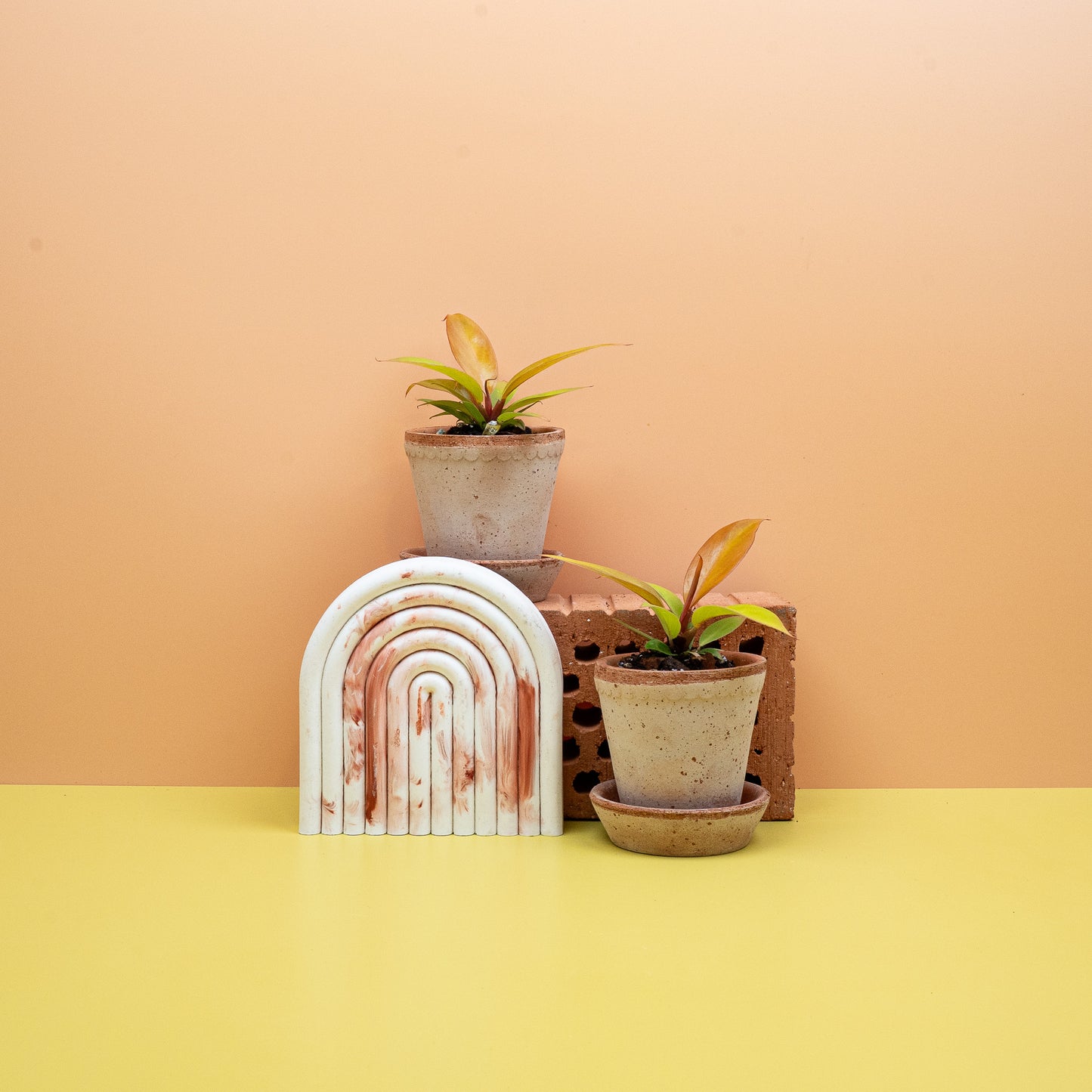 PHILODENDRON PRINCE OF ORANGE