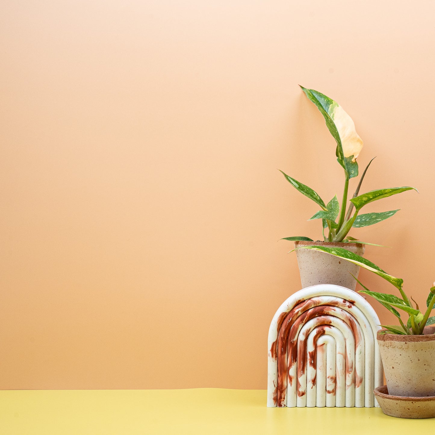 PHILODENDRON RING OF FIRE online bestellen bei potflourri