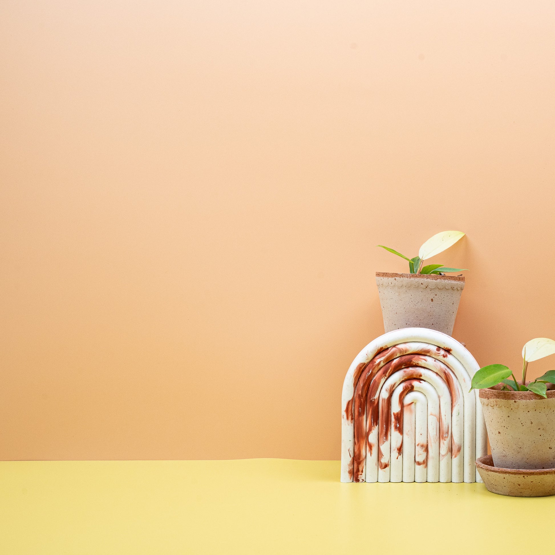 PHILODENDRON SNOWDRIFT online bestellen bei potflourri