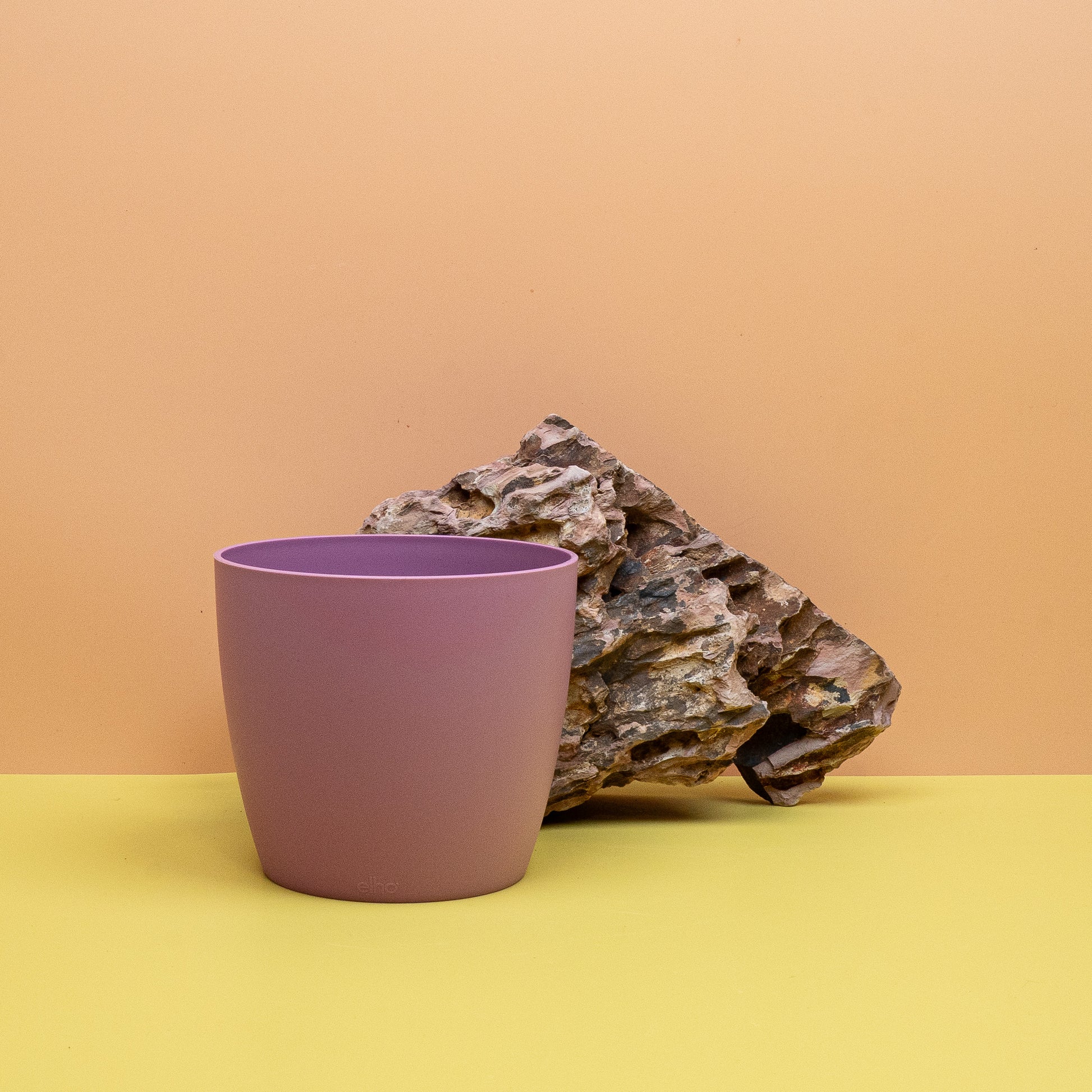 Intensive violette Farbgebung als moderner Akzent
