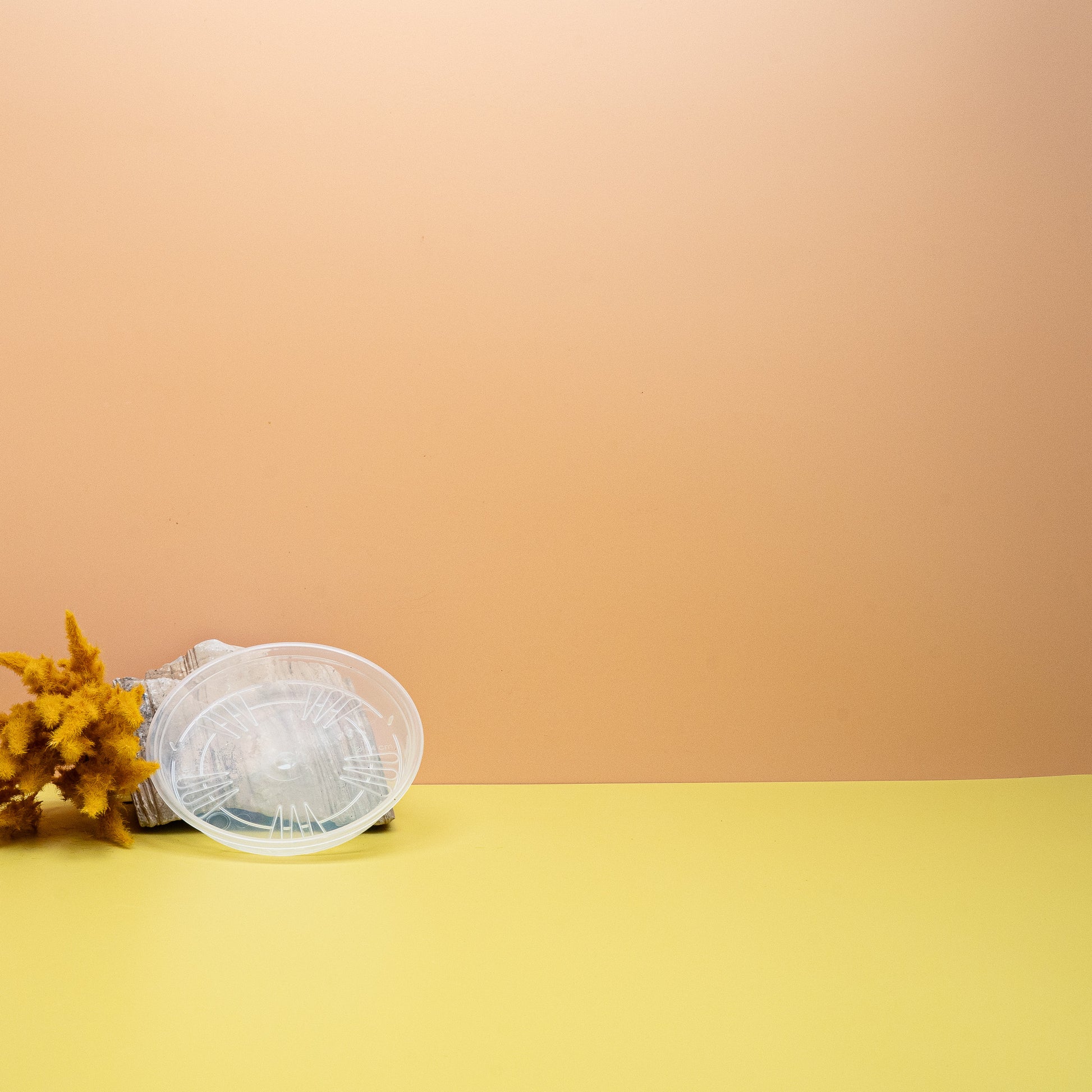 UNTERSETZER - ELHO UNIVERSAL TRANSPARENT online bestellen bei potflourri