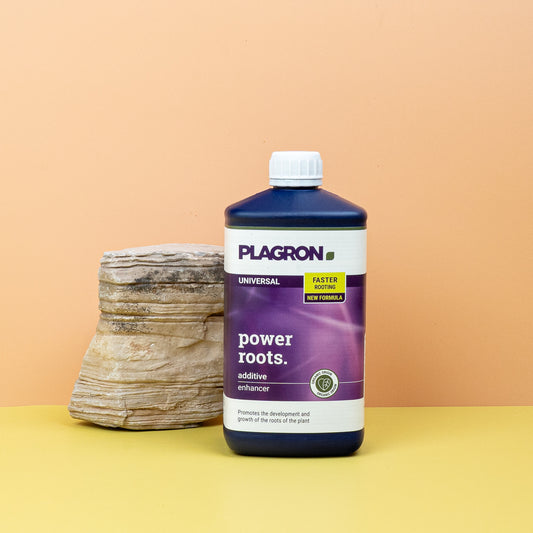 WURZELSTIMULATOR - PLAGRON POWER ROOTS online bestellen bei potflourri