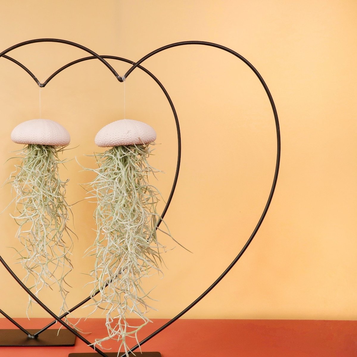 AIRPLANT HOLDER - HEART BLACK online bestellen bei potflourri