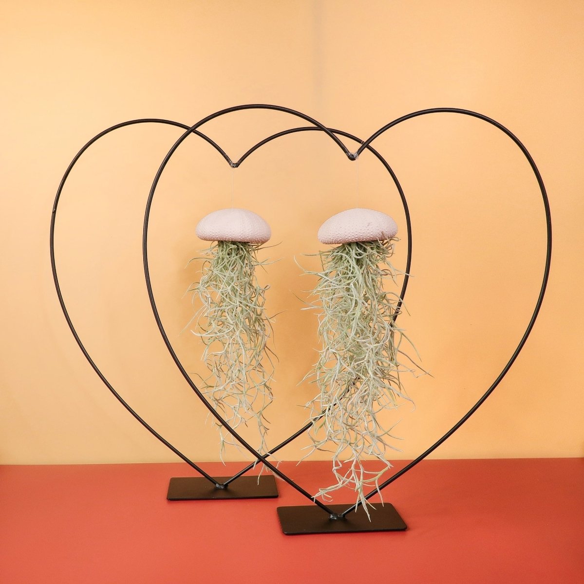 AIRPLANT HOLDER - HEART BLACK online bestellen bei potflourri