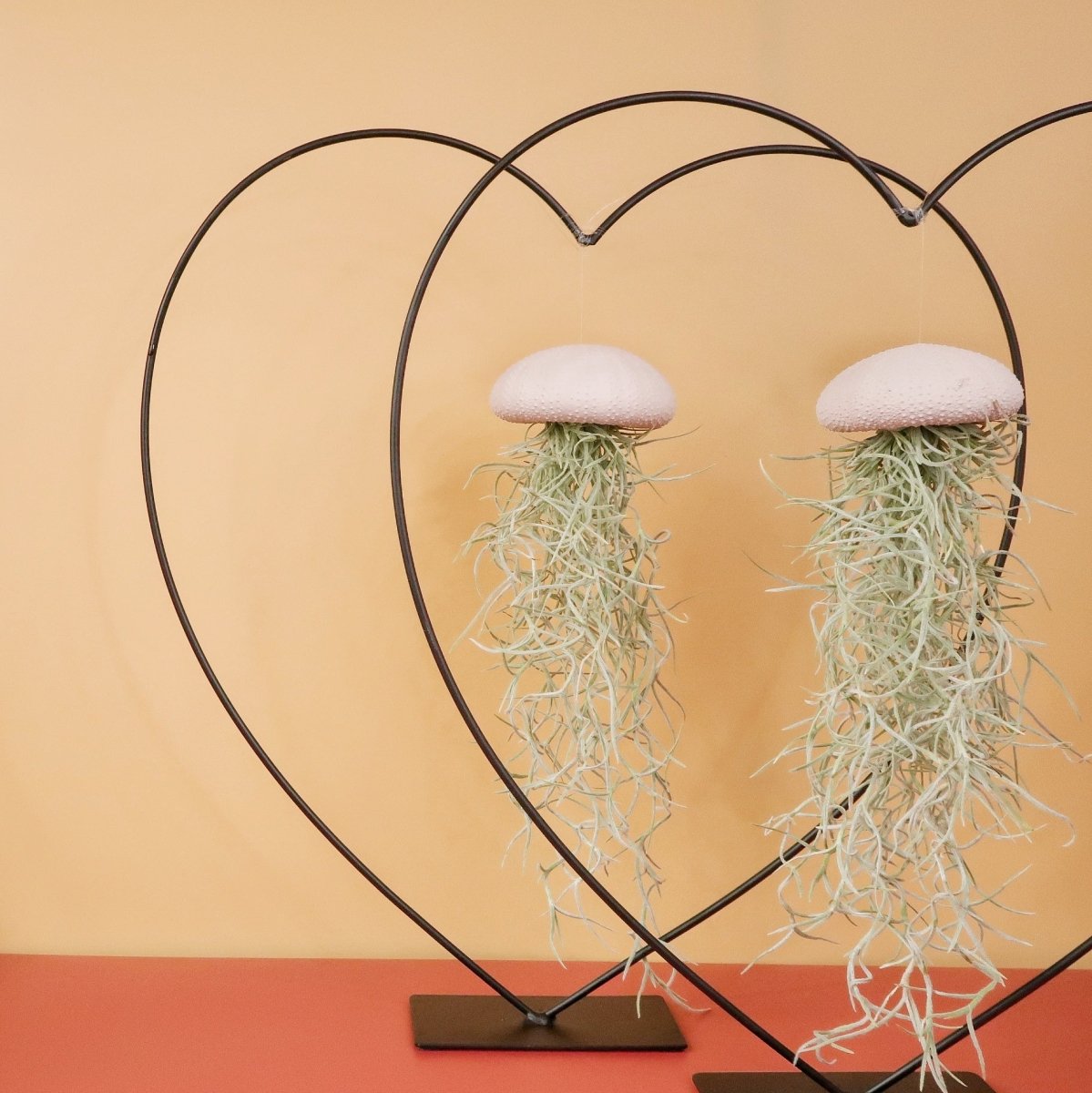 AIRPLANT HOLDER - HEART BLACK online bestellen bei potflourri