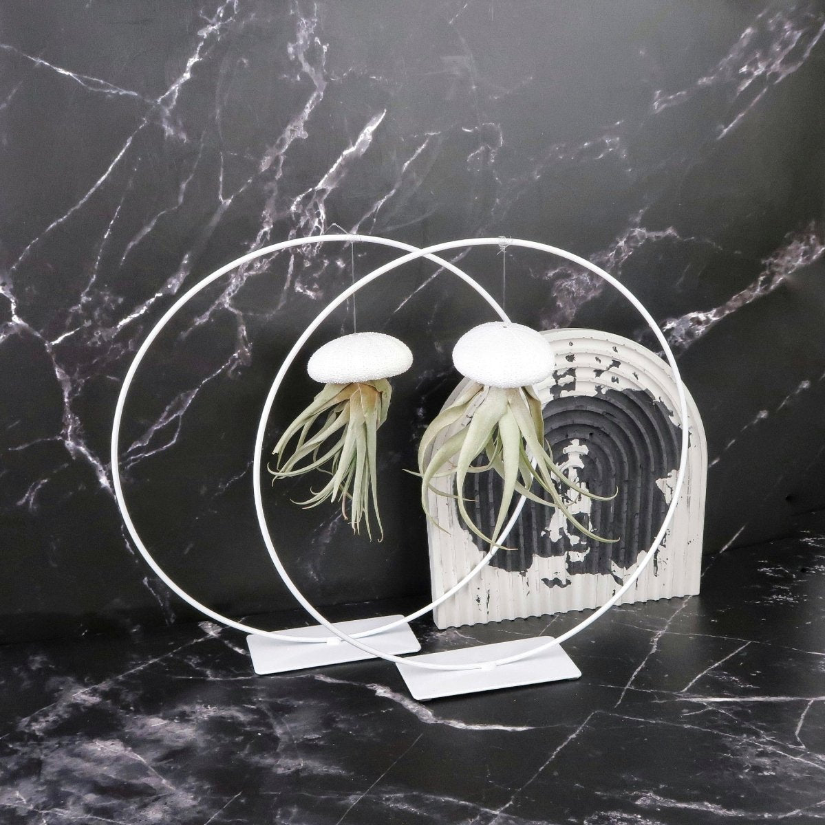 AIRPLANT HOLDER - RING WHITE online bestellen bei potflourri