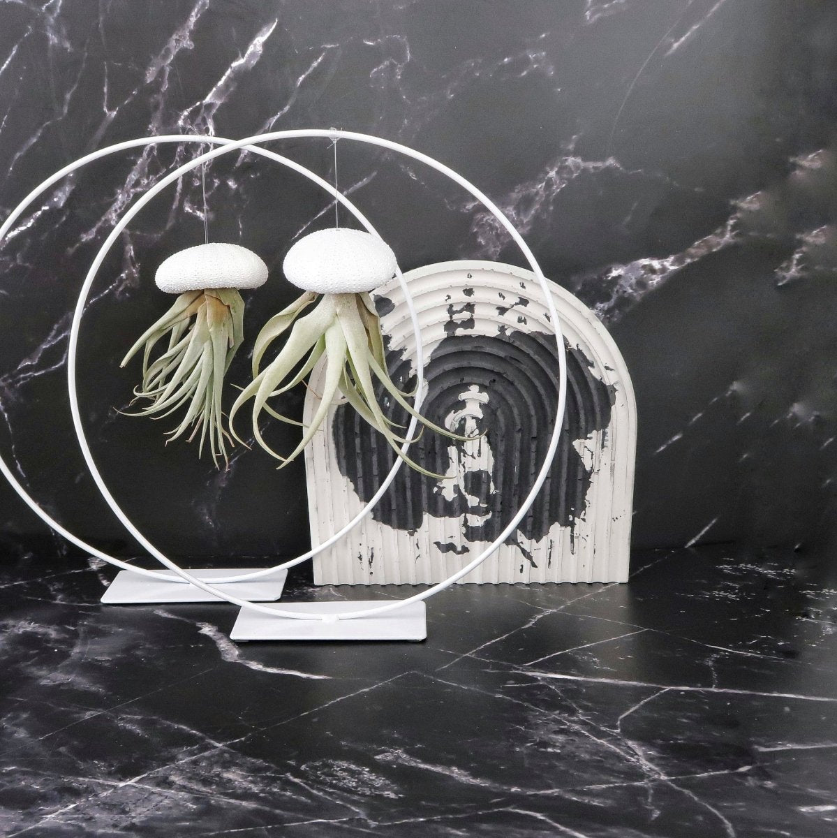 AIRPLANT HOLDER - RING WHITE online bestellen bei potflourri