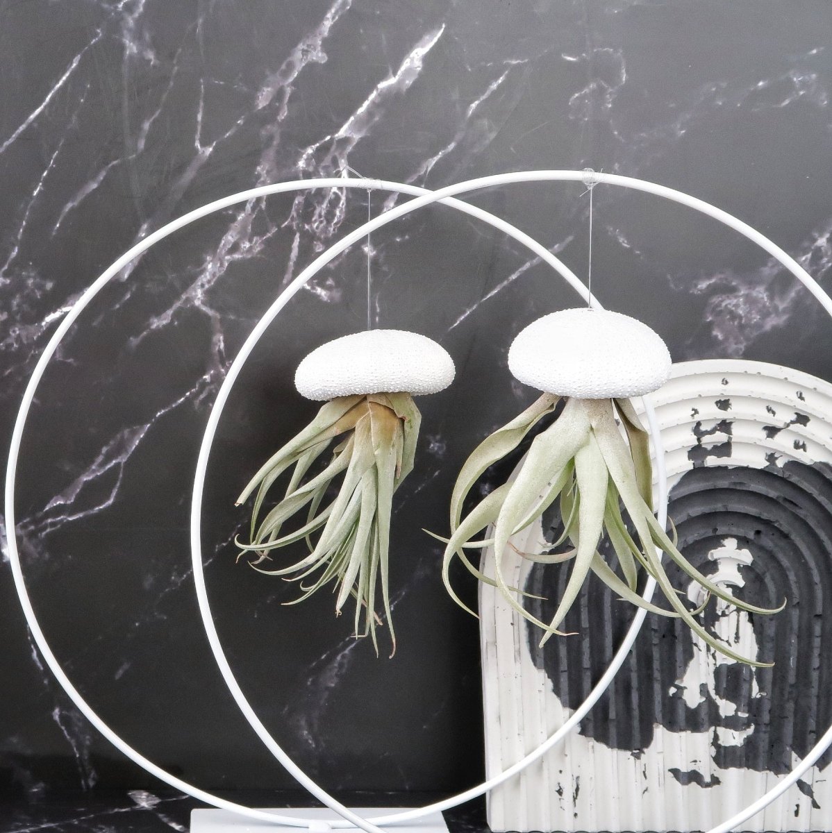 AIRPLANT HOLDER - RING WHITE online bestellen bei potflourri