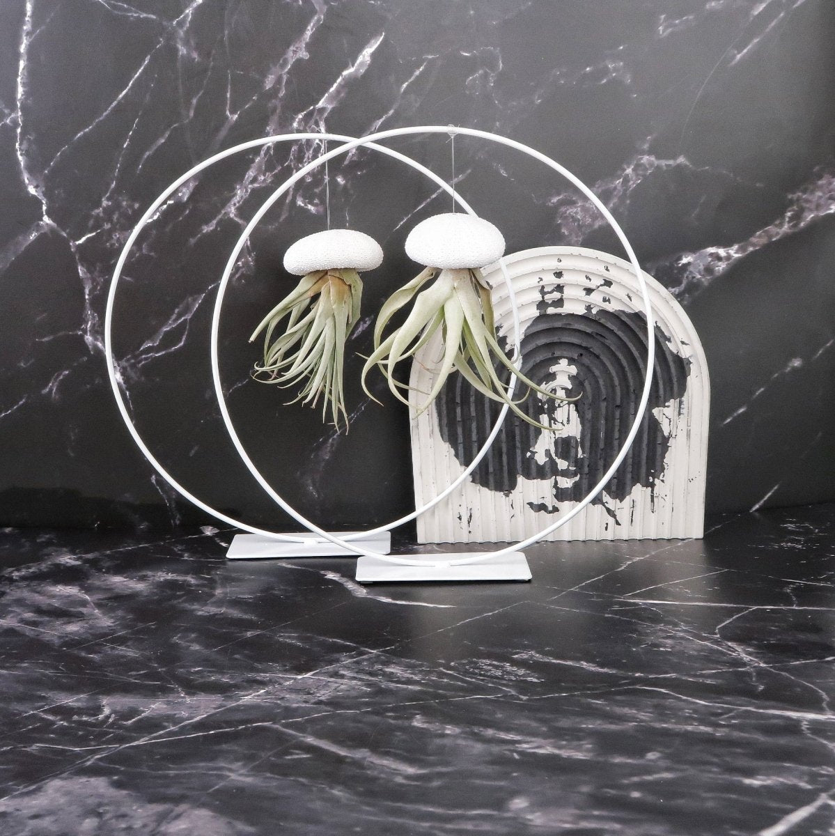 AIRPLANT HOLDER - RING WHITE online bestellen bei potflourri