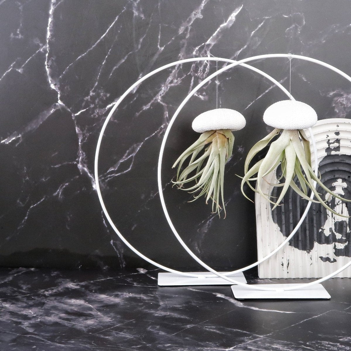 AIRPLANT HOLDER - RING WHITE online bestellen bei potflourri