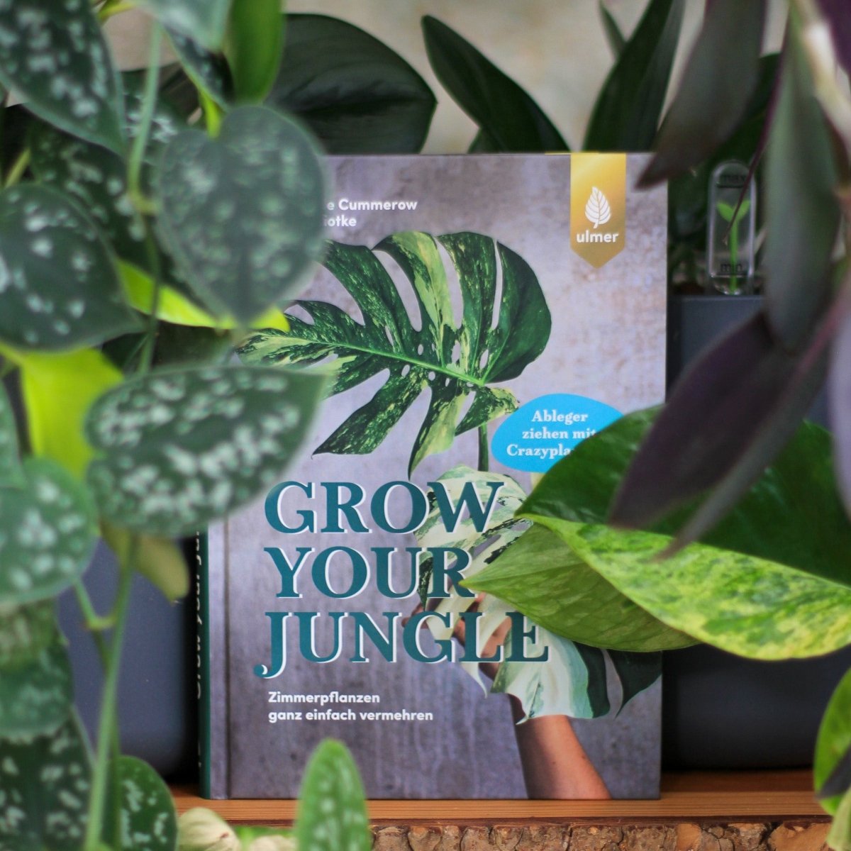 BUCH - GROW YOUR JUNGLE online bestellen bei potflourri