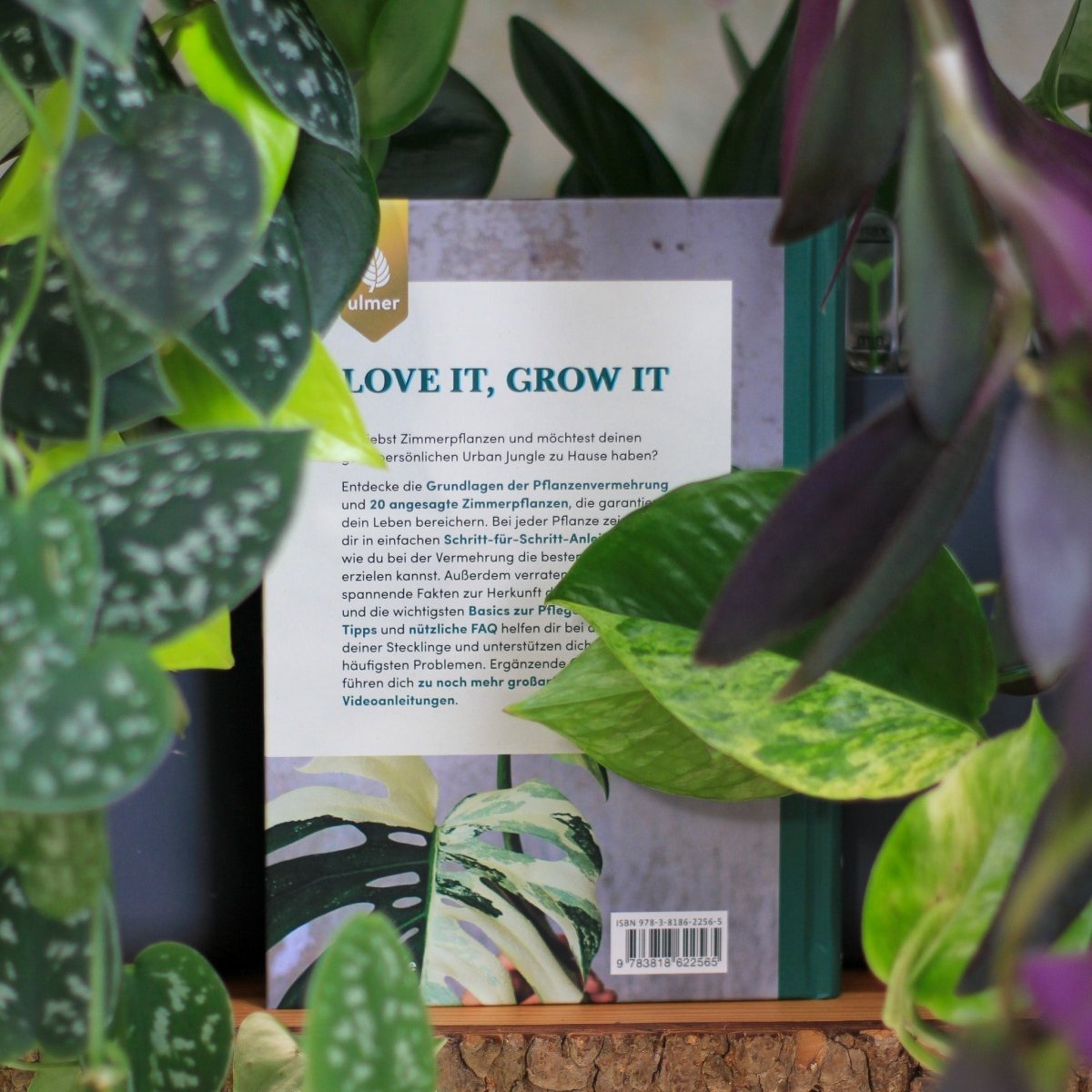 BUCH - GROW YOUR JUNGLE online bestellen bei potflourri