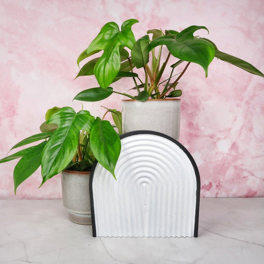 PHILODENDRON FLORIDA GREEN online bestellen bei potflourri